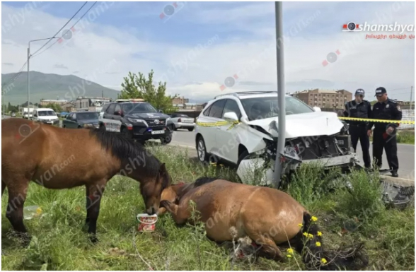 Եղվարդում «Lexus»-ը բախվել է ճանապարհին հայտնված ձիnւն, ապա երկաթե էլեկտրասյանը